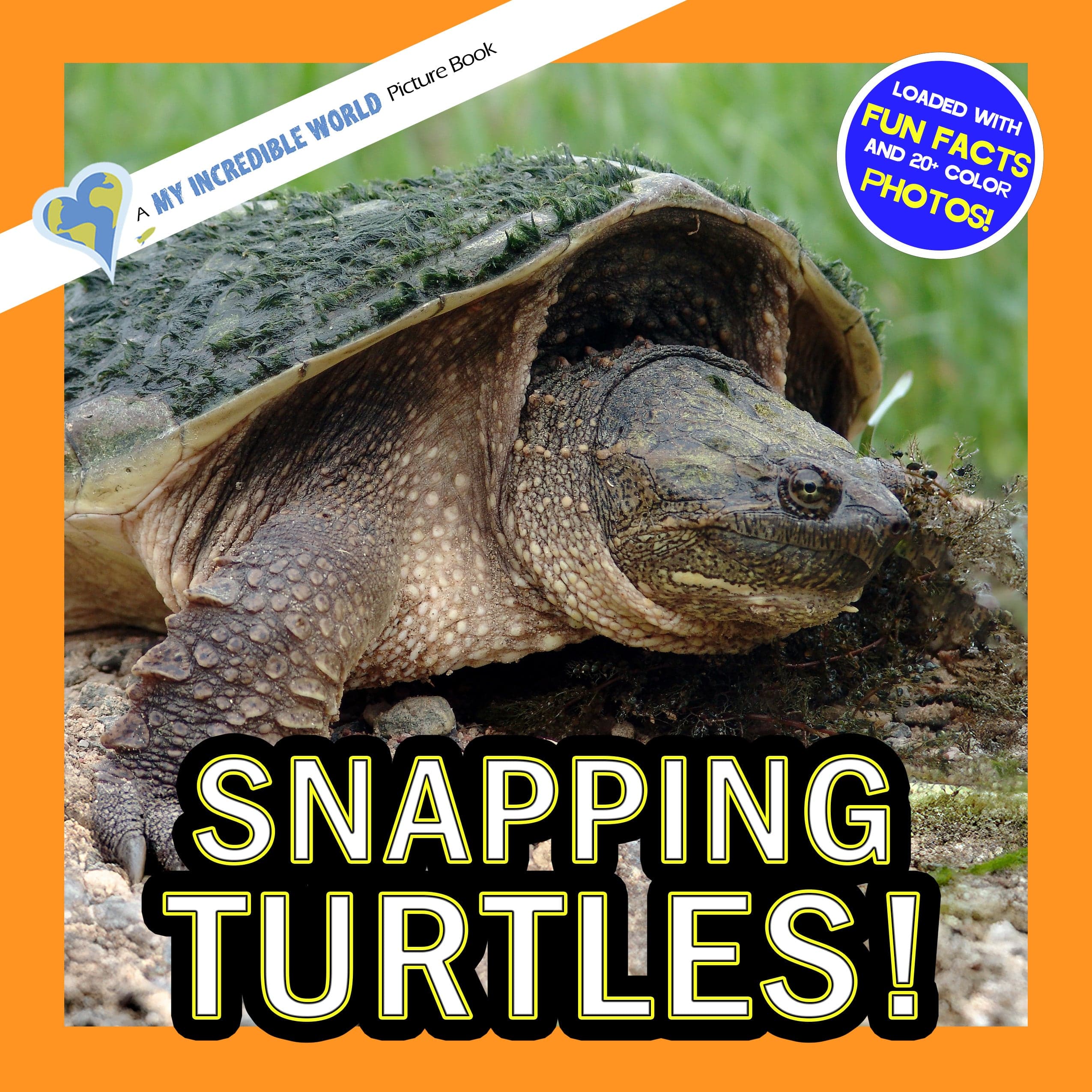 Snapping Turtles! A My Incredible Picture Book For Children